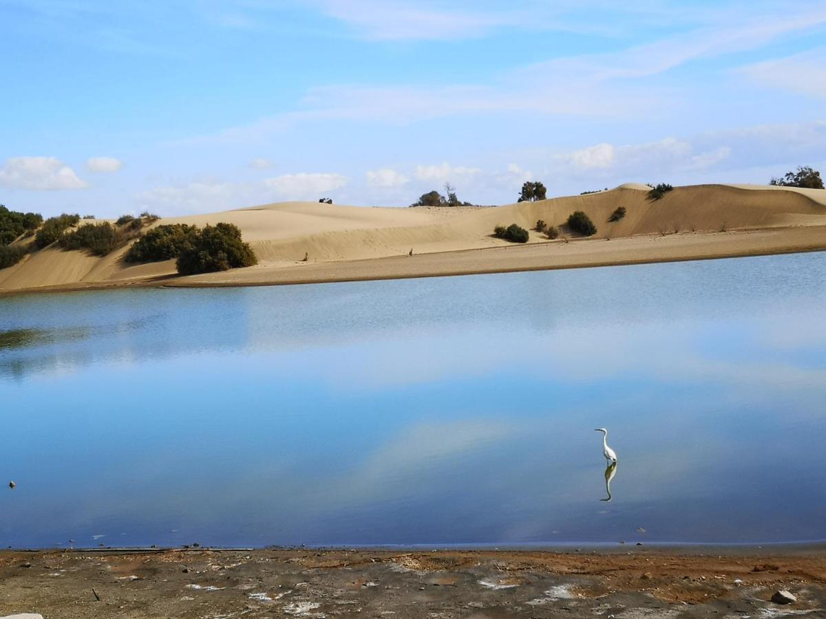 Maspalomas Casa La Loba Ngoại thất bức ảnh